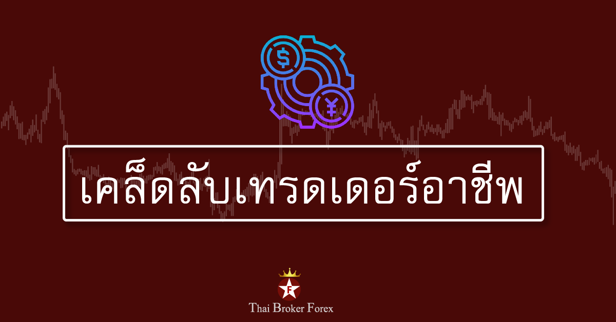 เทรดเดอร์อาชีพ