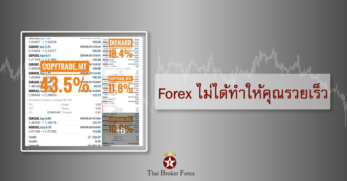 forex ไม่ได้ทำให้คุณรวยเร็ว