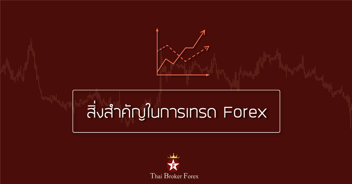 สิ่งสำคัญในการเทรด Forex