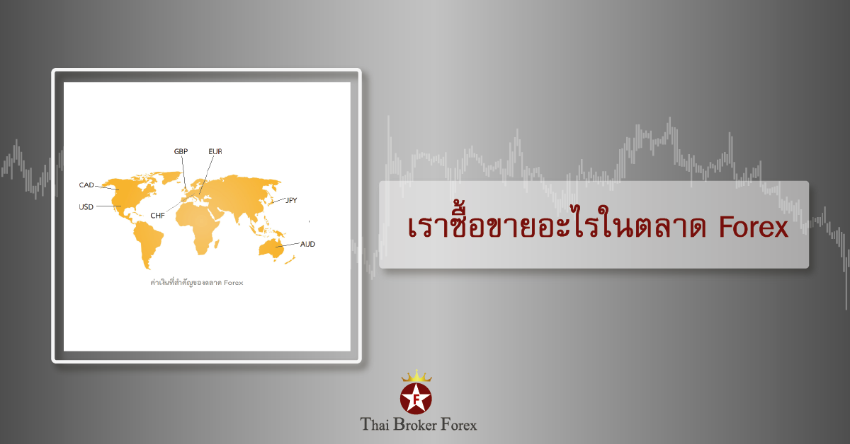 วยื้อขายอะไรในตลาด Forex