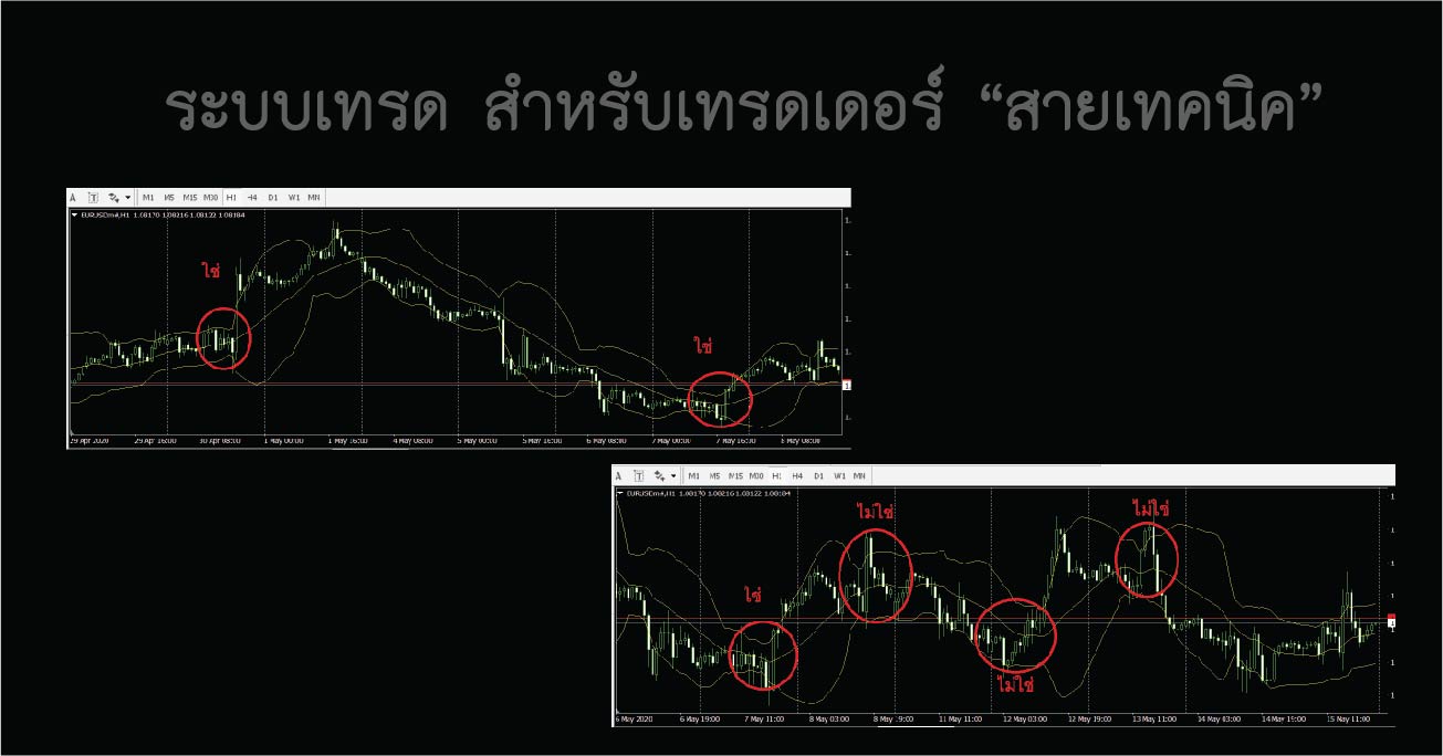 ระบบเทรดสำหรับเทรดเดอร์สายเทคนิค