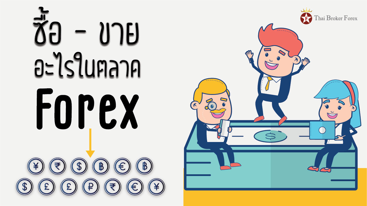 ซื้อขายอะไรในตลาด forex-01