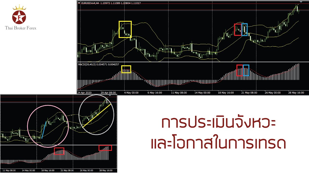 https://www.elliottwave.vip/timing-and-trading-opportunities/