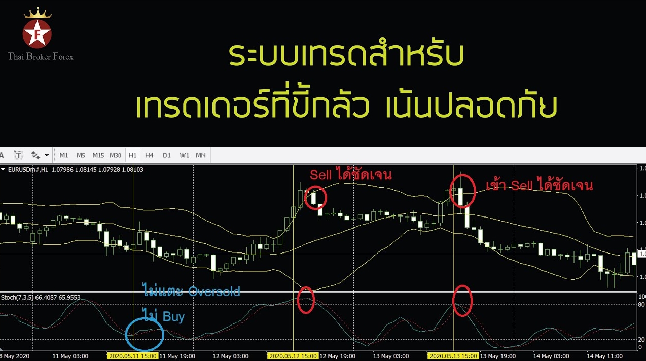 ระบบเทรด Forex สำหรับเทรดเดอร์ที่ขี้กลัว เน้นปลอดภัย ? คุณป็นแบบนั้นหรือป่าว