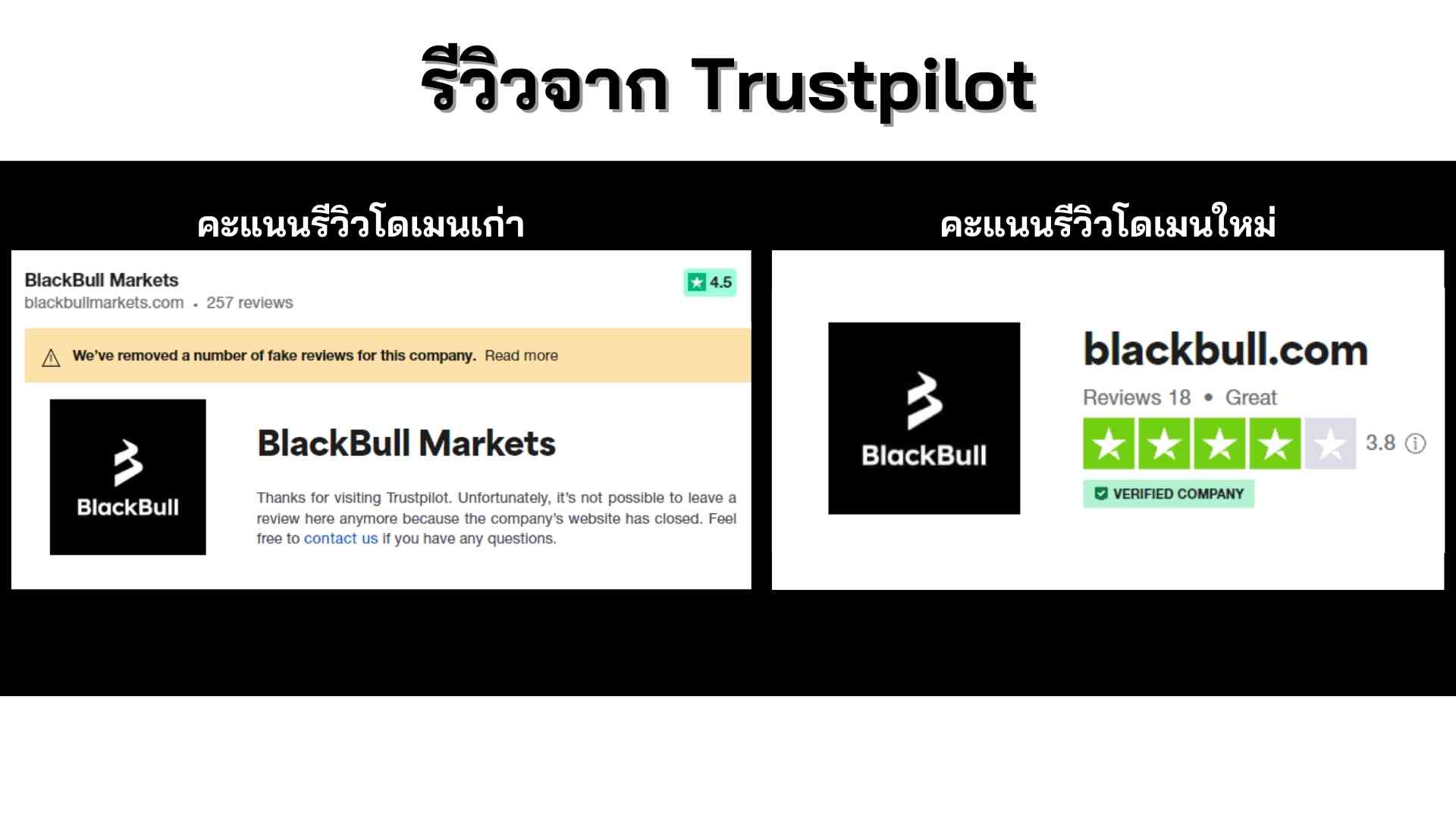 A screenshot of a black bull market

Description automatically generated